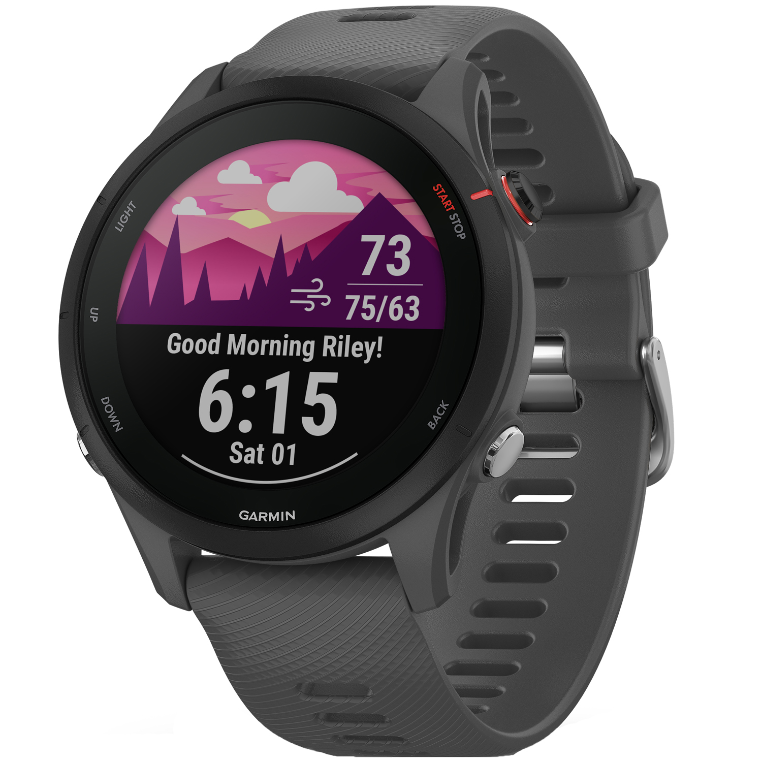 Умные GPS-часы Garmin Forerunner 255 - Выберите цвет