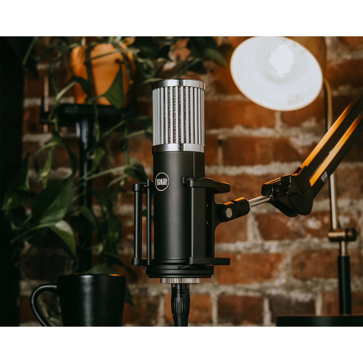 Photos - Microphone 512 Audio Skylight Condenser XLR  Bundle with Boom Arm and Pop F