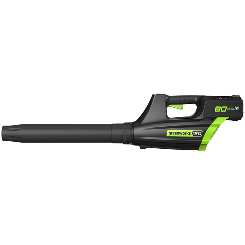 greenworks digipro blower