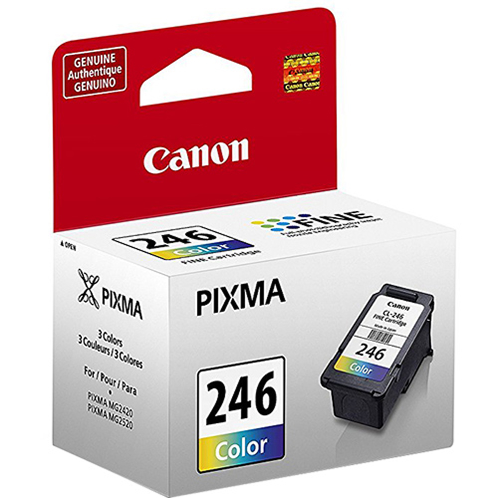 Canon PG245XL Black Cartridge Fine Ink Cartridge (2Pack) w/COLOR