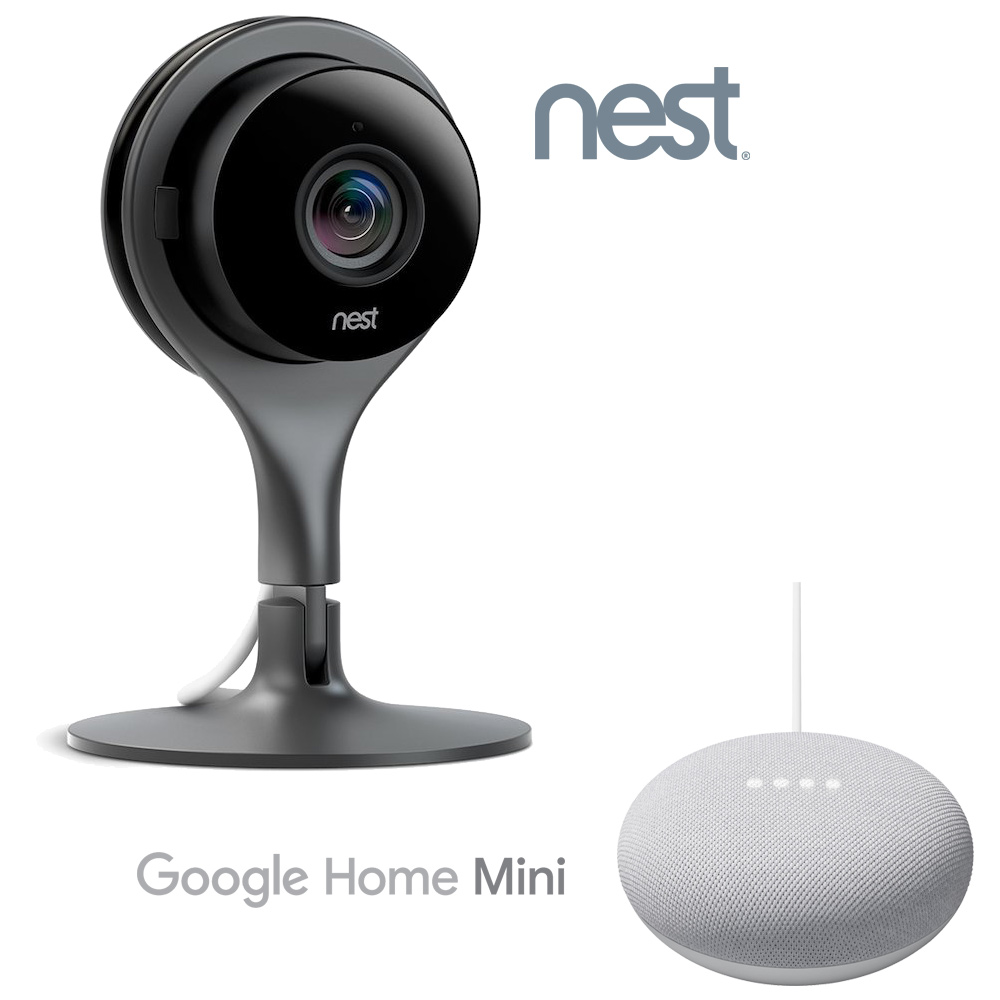 pet camera compatible with google home